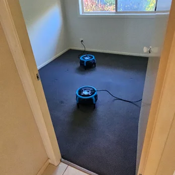 Two blue air movers drying a navy bedroom carpet