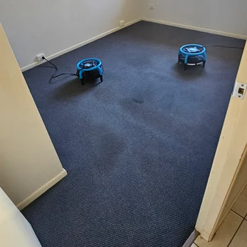 Two blue air movers drying a navy bedroom carpet